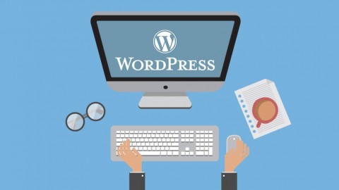 How to Master WordPress Website Development in November 2024