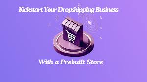 Top Benefits of a Prebuilt Shopify Store for Rapid Success in November 2024