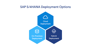 7 Key Strategies for Maximizing Efficiency with Advanced Core Self-Service Developer Model in SAP S/4HANA