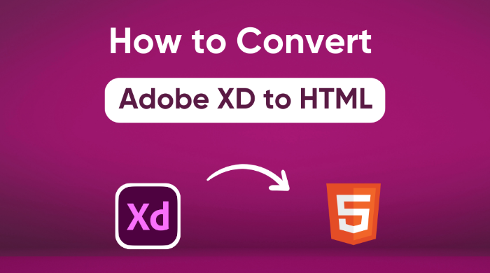 Professional XD to HTML Conversion with Clean and Optimized Code