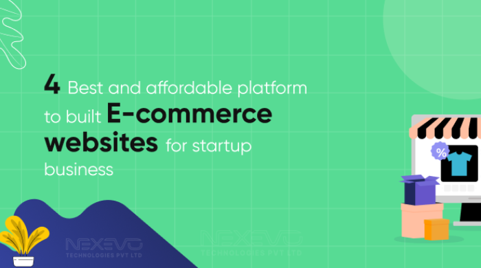 I will create an affordable ecommerce website tailored to your business needs