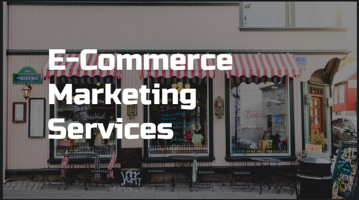 I Will Provide Professional Ecommerce Marketing Services to Boost Your Sales