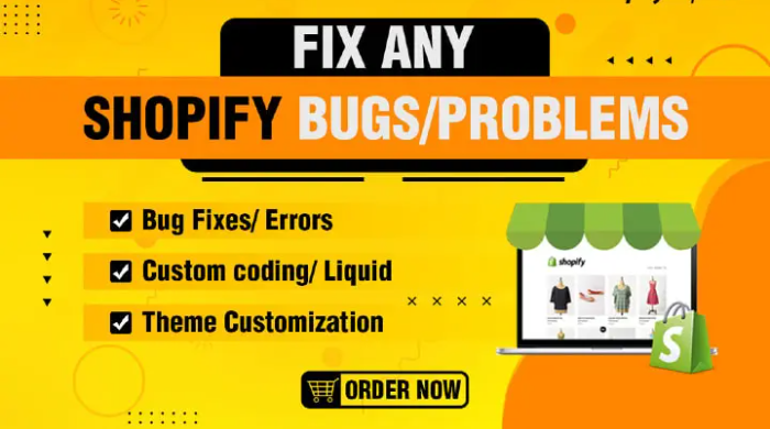 We will do Shopify Custom Coding and Bug fixing within 1 day