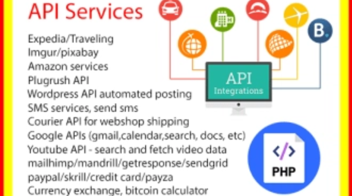 I will do any API Integrations to your website or scripts