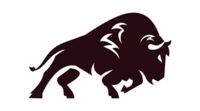 We offer high-quality buffalo logo designs for your company or project