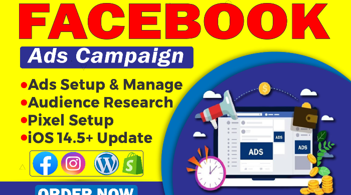 We will be your Facebook ads campaign manager or setup FB Ads