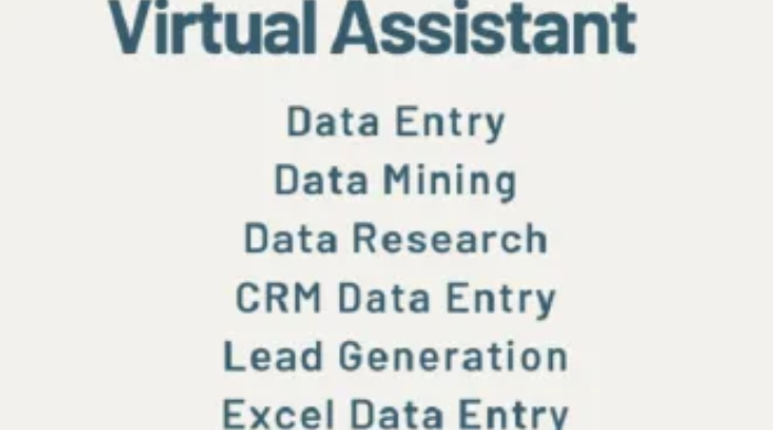 I will do data entry, copy paste, web research as your VA