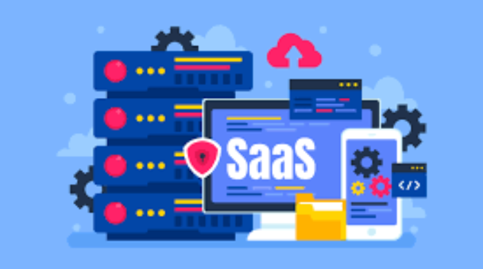 Get Custom SaaS Development Services to Elevate Your Business