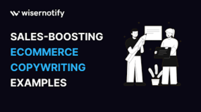 Write compelling product descriptions with my Ecommerce Copywriting Services