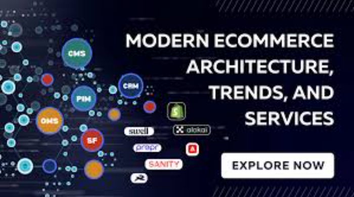 Get custom modern ecommerce architecture for seamless performance