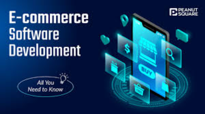 Get advanced ecommerce software development to scale your business
