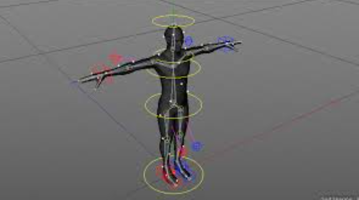 I Will Create High-Quality Rigged 3D Character Models for Your Projects

