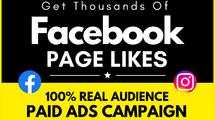 We will organically grow and Promote your Facebook Page with Ads campaign