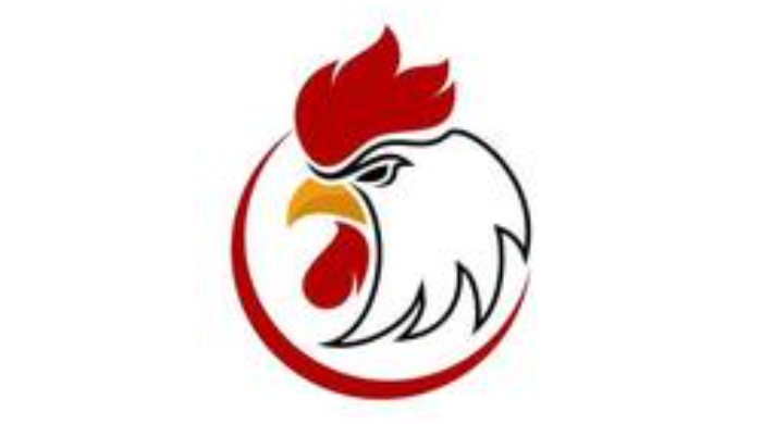 I will provide a memorable hen logo design with multiple revisions and high-quality files