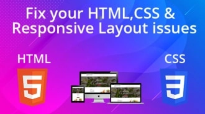 I will fix HTML issues,CSS issues,Wordpress Bugs and Responsive Bugs