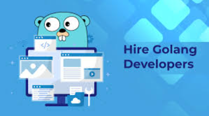 Hire Golang Programmers for Scalable Backend Development and More