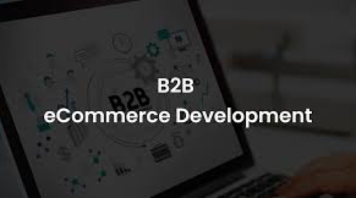 Custom B2B Ecommerce Website Design and Development to Boost Your Business