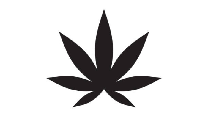 We will craft a creative marijuanas logo tailored to your brand’s style and values