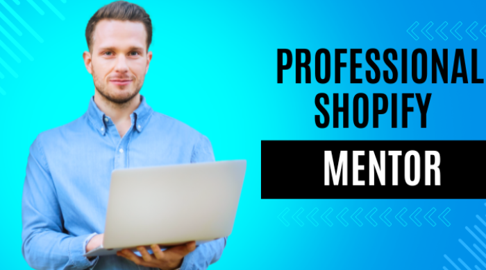 I will be your professional shopify mentor and consultant