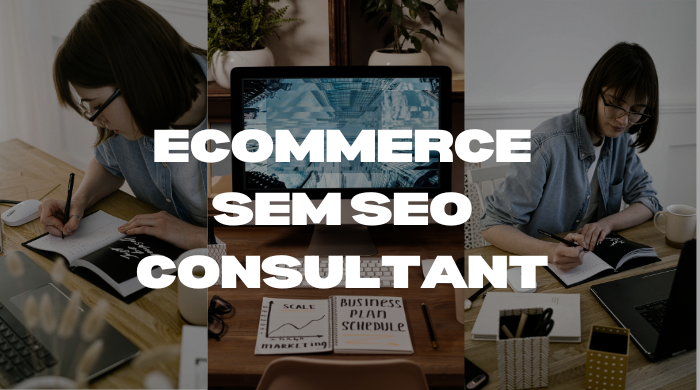 I Will Provide eCommerce SEM SEO Consultant Services to Boost Your Sales