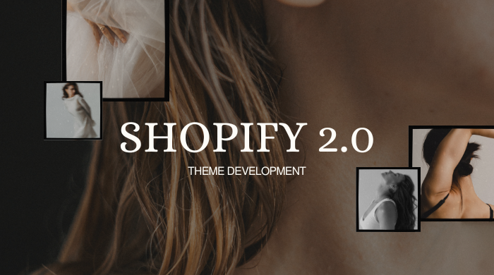 I Will Provide Custom Shopify 2.0 Theme Development for Your Store