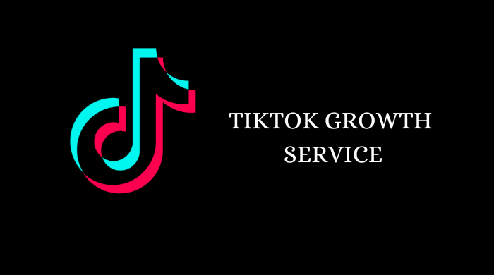 We Provide Effective TikTok Growth Service for Rapid Results!