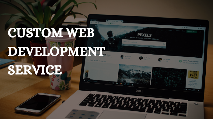 Hire full-stack developers for your custom web development services