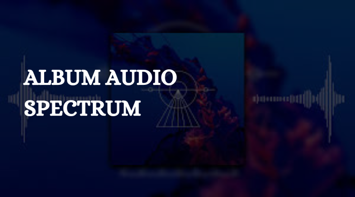 I Will Create Stunning Album Audio Spectrum Visualizations for Your Music!