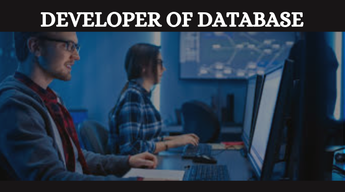 Hire Developer of Database for Custom Solutions and Optimization