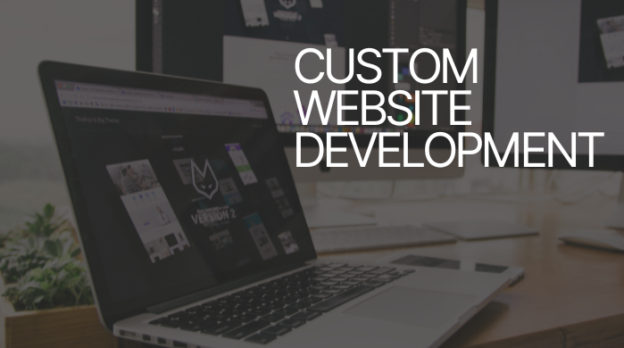 Custom Website Development To Build Your Dream Site