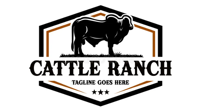 I provide professional ranch logo designs with rustic and western aesthetics