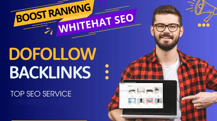 We will create a full white hat SEO campaign for your website