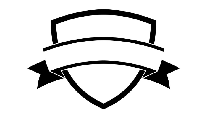 I will create a unique and creative shield logo to represent your brand or organization