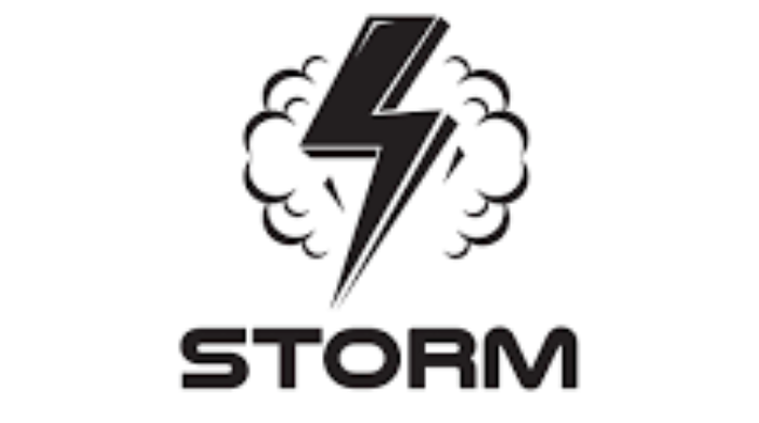 I Provide Stunning Storm Logos That Represent Strength & Power