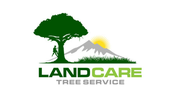  Create Custom Tree Service Logos That Stand Out in the Market