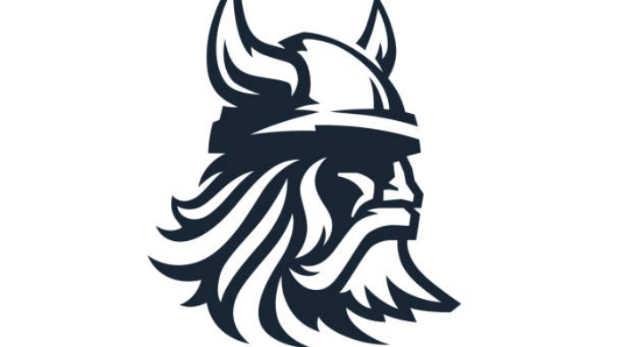 I will create a personalized viking logo for your business or team