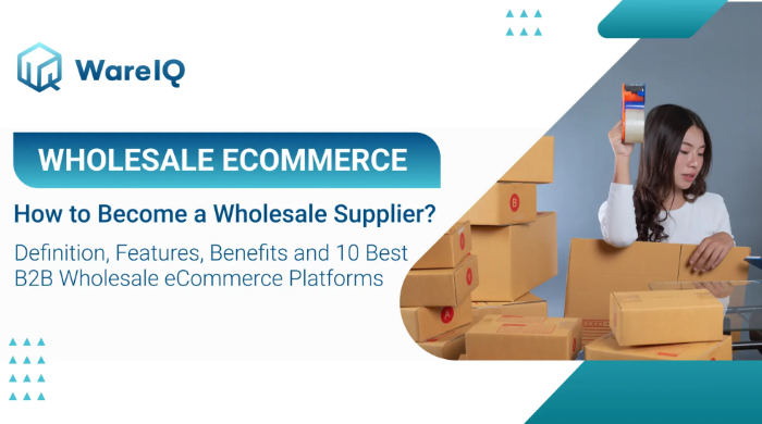 I will design a professional e-commerce platform for wholesale businesses