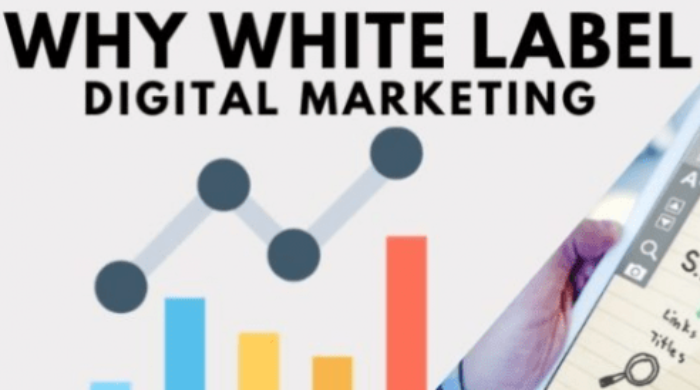 Get Top-Notch White Label Digital Marketing Solutions to Scale Your Business