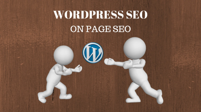 We will optimize your wordpress website for SEO