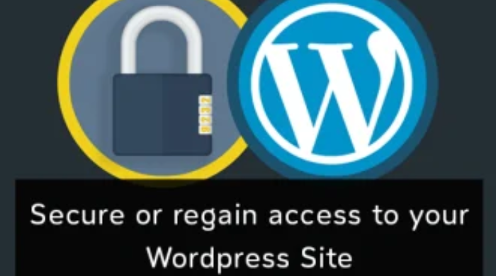 You will get A WordPress Website Security Optimization Service